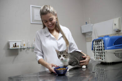 Eles também precisam de comida saudável